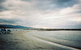 Image- Picture of a white sandy beach  