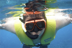 Image- Picture of young diver